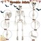 3 FT Halloween Skeleton - 36”Tall Full Body Halloween Skeleton with Movable Joints for Haunted House Graveyard Indoor and Outdoor Decor/Halloween Decoration